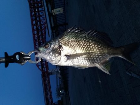 バチ抜けのつもりがキビレ